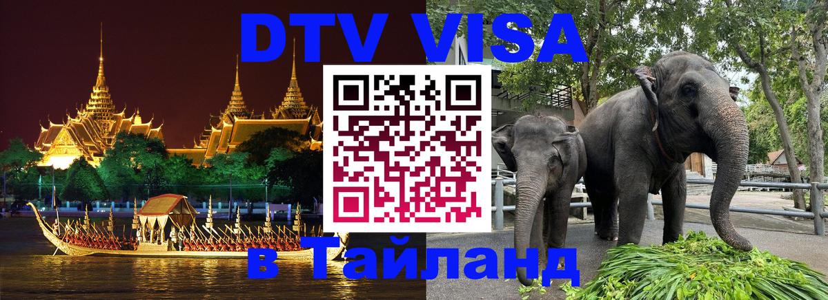 Оформление DTV визы под ключ: стоимость и тарифы, только загранпаспорт - 07.01.2026 